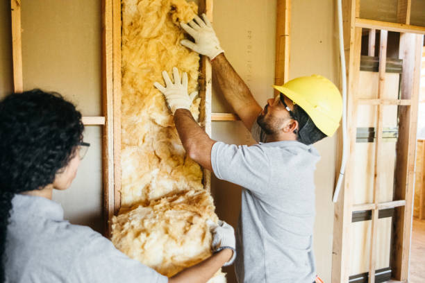 Best Basement Insulation  in Soperton, GA